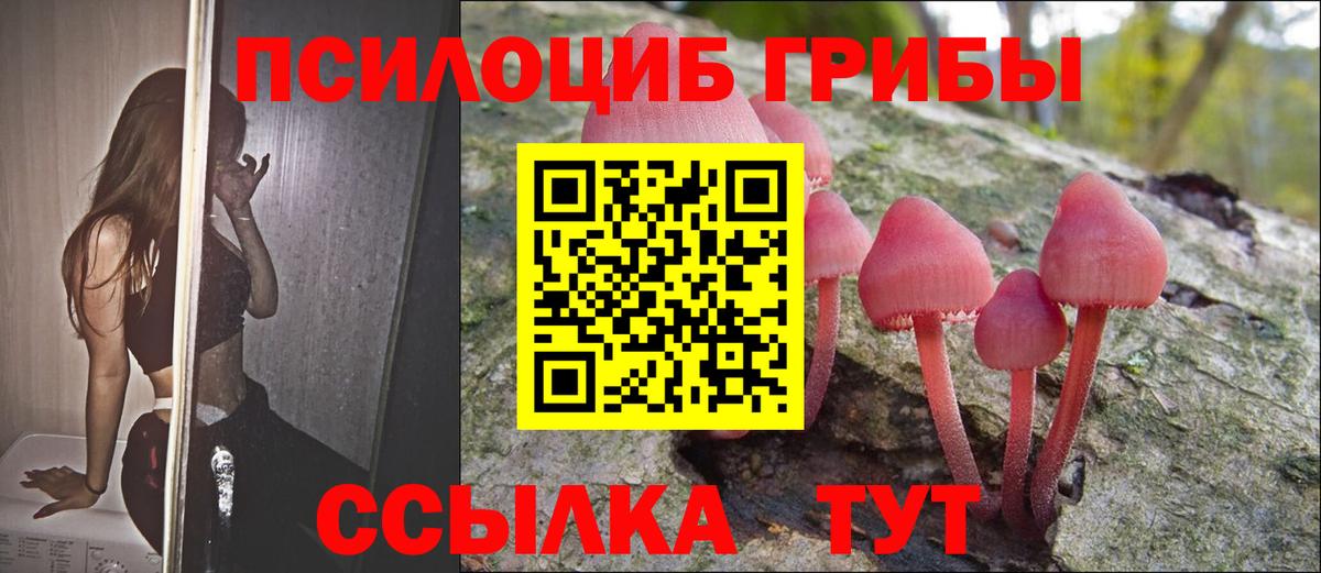 Псилоцибиновые грибы Cubensis  Вход с VPN  Ликино-Дулёво  Галлюциногенные грибы Cubensis 